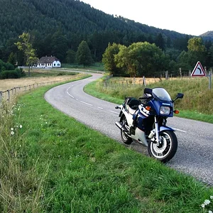Nordelsaß Sommer 2005
