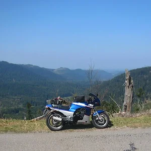 Donon Frühjahr 2007