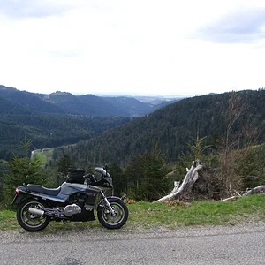 Donon Frühjahr 2008