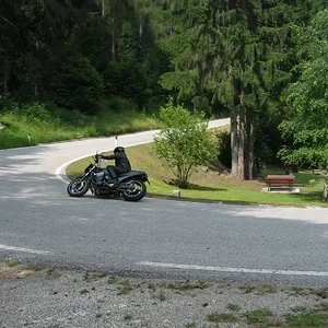 Am Broconpass (I) Juli 2008