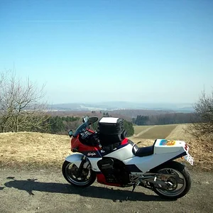 Knüllköpfchen Hessen