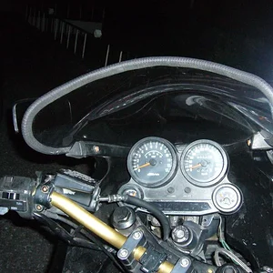 P1000272