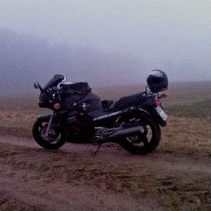 mal ne Wald und Wiesen Tour bei Nebel und Regen gemacht.