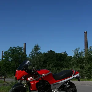 IMG 1219