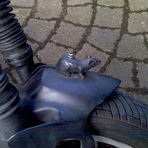Diese Ratte aus Weichgummi ist für den TÜV ein verkehrsgefährdendes Teil. Wers glaubt.
Vielleicht beisst sie ja dem Unfallopfer in die Nase :)