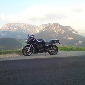 Dolo 2012