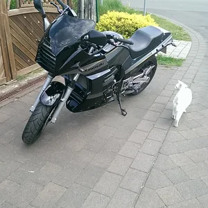 gpz