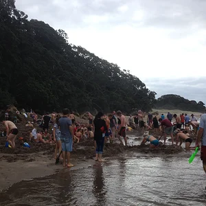 Hotwater Beach, bis 60°C warm