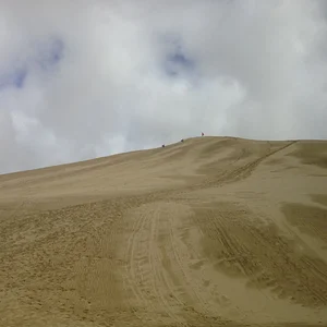 Sanddüne am Nördlichen Ende Neuseelands. zum runterrutschen