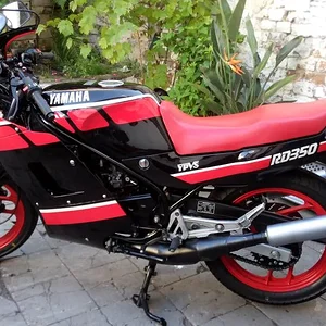 RD 350 1WW