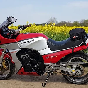 Rapsfeld April 2020
