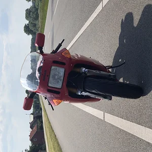 IMG 1869