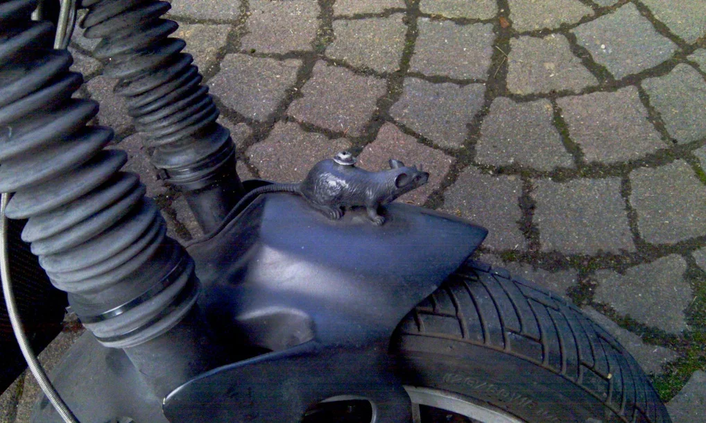 Diese Ratte aus Weichgummi ist für den TÜV ein verkehrsgefährdendes Teil. Wers glaubt.
Vielleicht beisst sie ja dem Unfallopfer in die Nase :)