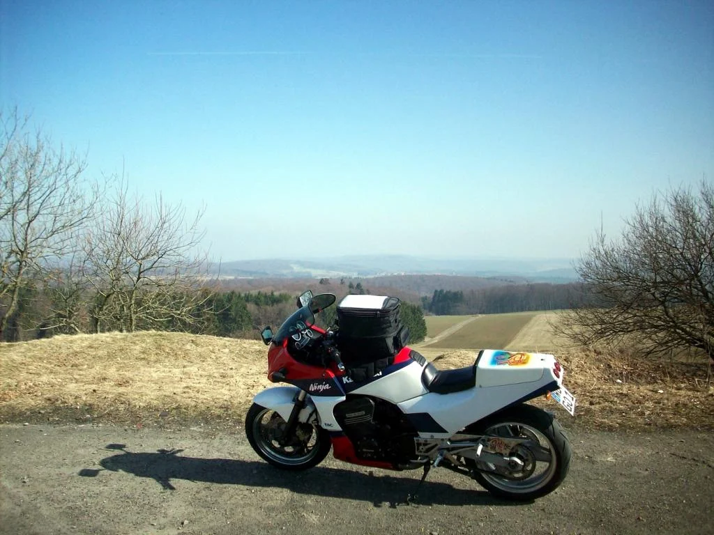 Knüllköpfchen Hessen