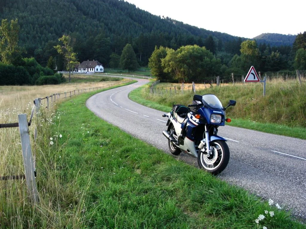 Nordelsaß Sommer 2005