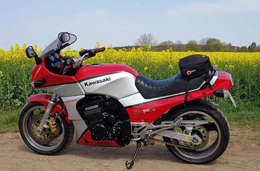 Rapsfeld April 2020