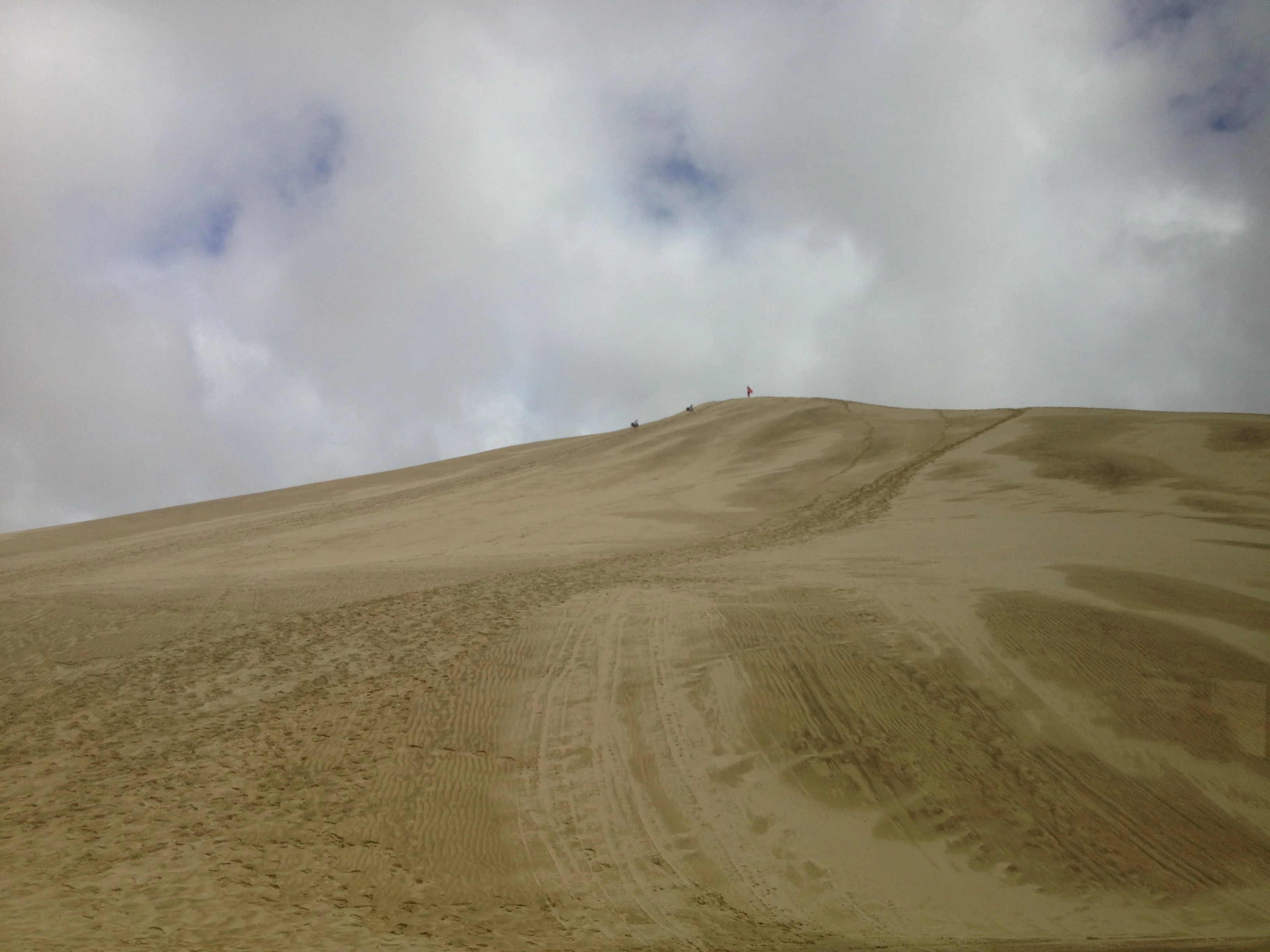 Sanddüne am Nördlichen Ende Neuseelands. zum runterrutschen