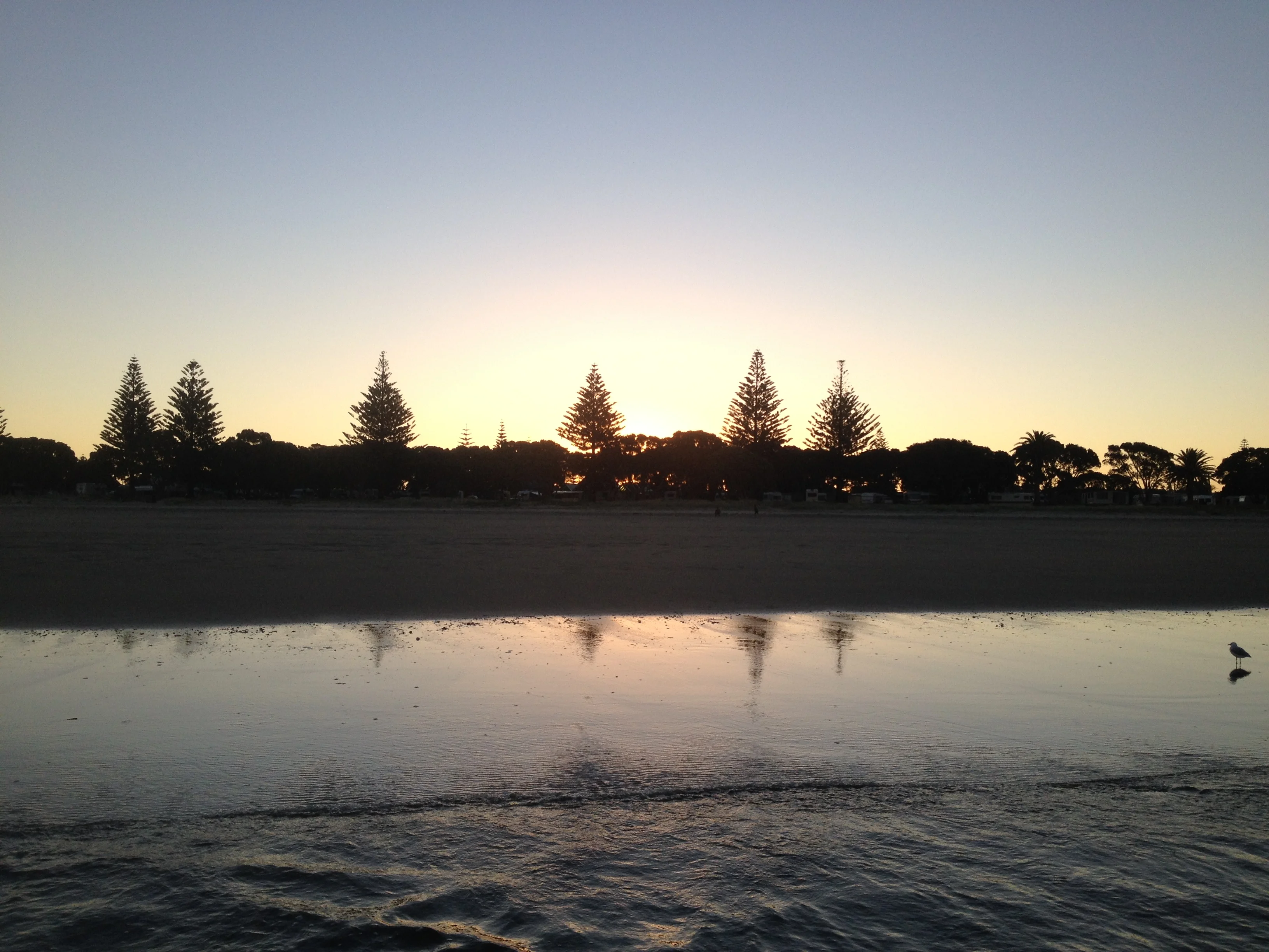 Strand in Takapuna