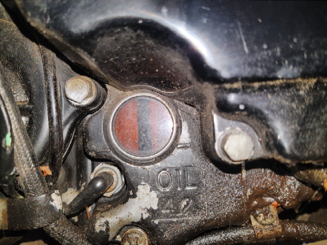 gpz900r-oelstand.jpg